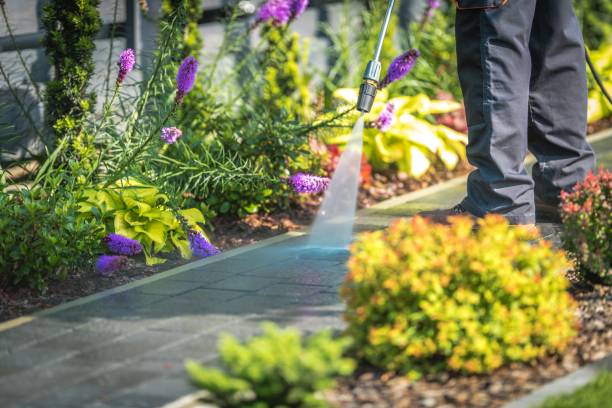 Best Pool Deck Cleaning in Allentown, PA